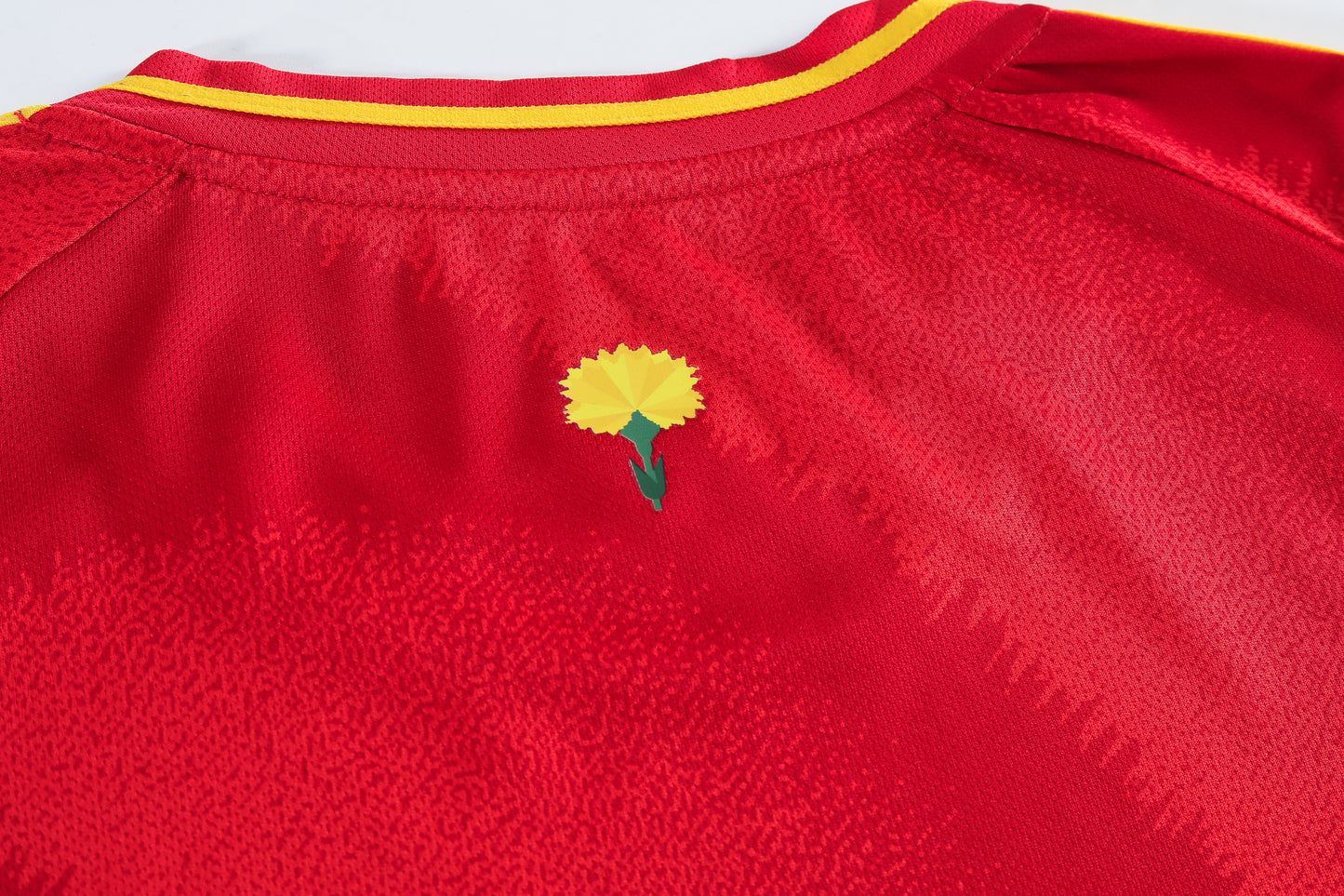 LAMINE YAMAL  #19 SPAIN HOME 24-25 SOCCER KIT
