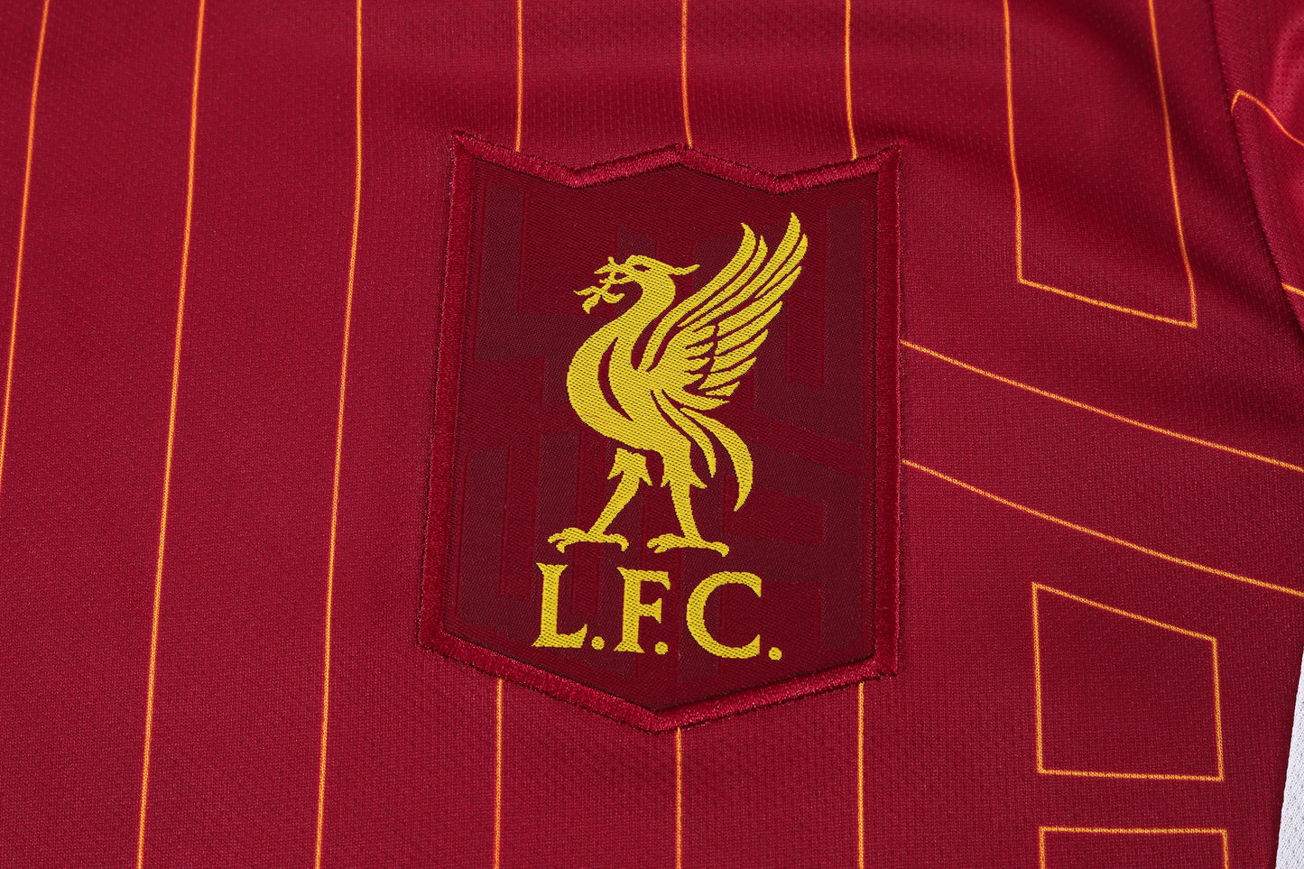 DARWIN #9 LIVERPOOL HOME 24-25 SOCCER KIT